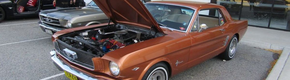 Mandurah Mayhem (WA) Cover Image