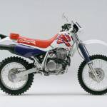 Noel Profile Picture