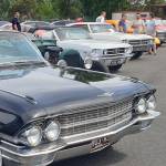 Vincent lowden Profile Picture