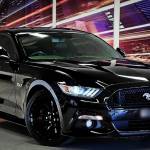 MeadsCode Profile Picture