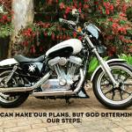 SteveO Profile Picture