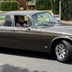 wyzawazza Profile Picture