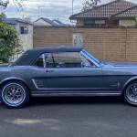 slybkspy Profile Picture