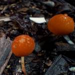 Edward Jansenn Profile Picture