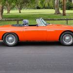 ANDRE Profile Picture