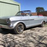 Nuglut5stud Profile Picture