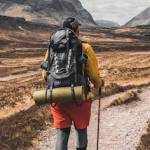 john alex Profile Picture