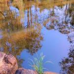 Shukri muse Profile Picture