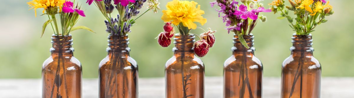 Abaco Health Cover Image