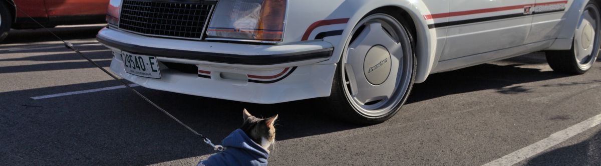 Cars and Coffee by NSCC at Village Coffee Hub Cameron Park (NSW) Cover Image