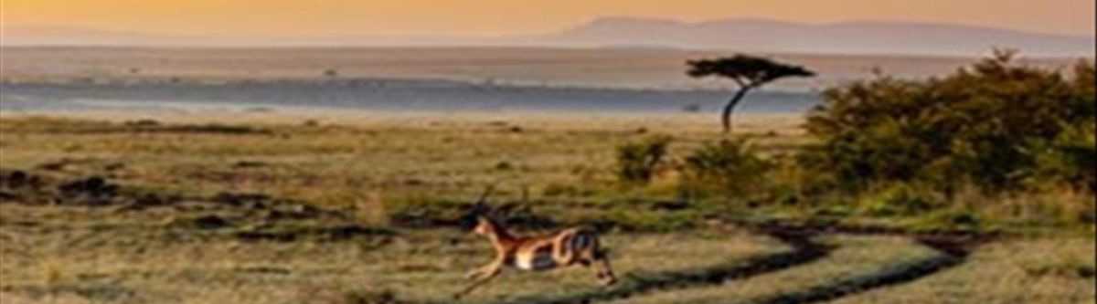 Albrek Travel & Tour Cover Image