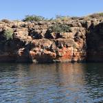 Chris M Profile Picture