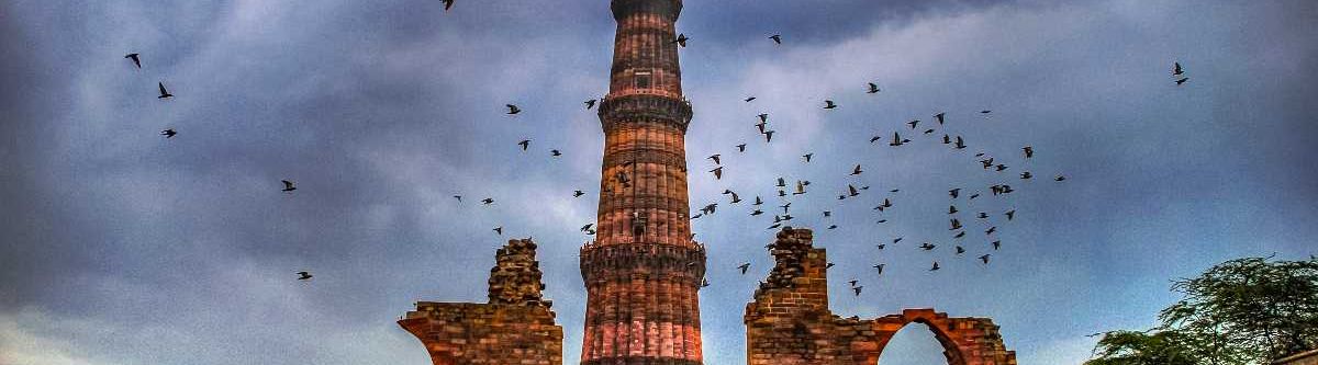 Reema Singh Cover Image