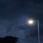 Domestos Profile Picture