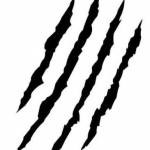 AmandaF6 Profile Picture