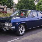 Mal T Profile Picture