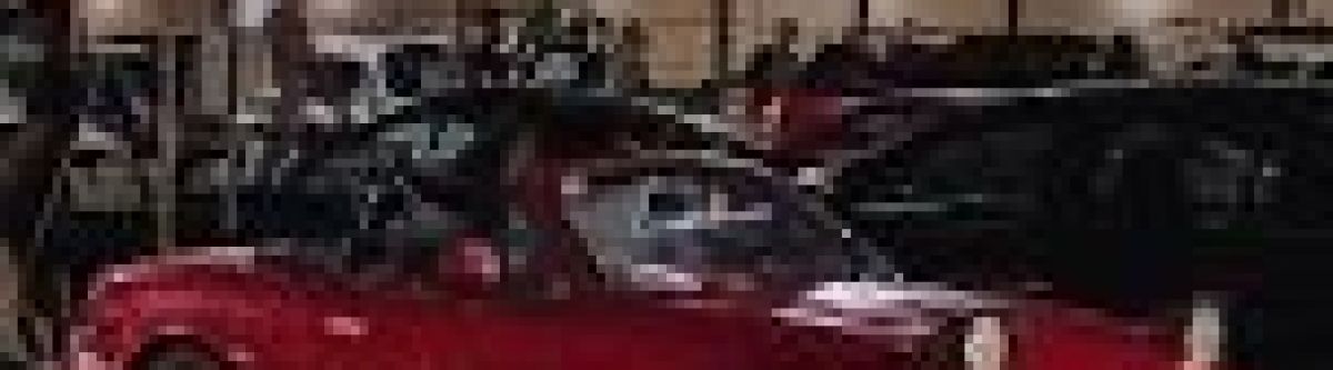 Bayside Car Club Monthly Show Cover Image