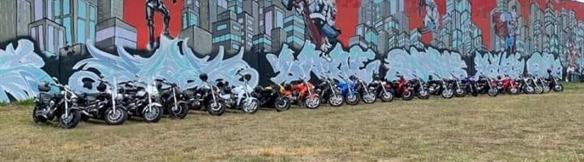 Black dog ride Cover Image