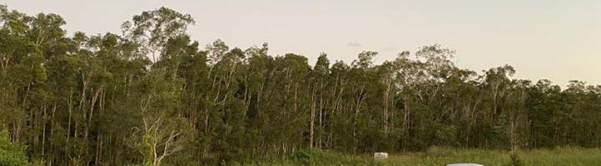 Ghost Gang Meet & Cruise Cover Image