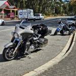 steve_wall Profile Picture