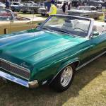 Cougar69 Profile Picture