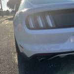 Alexfndrw Profile Picture