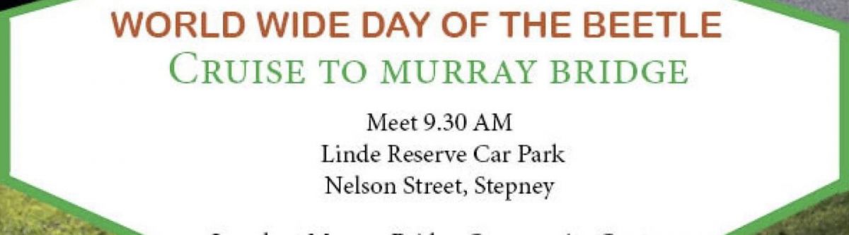 World Wide Day of the Beetle Cruise Cover Image