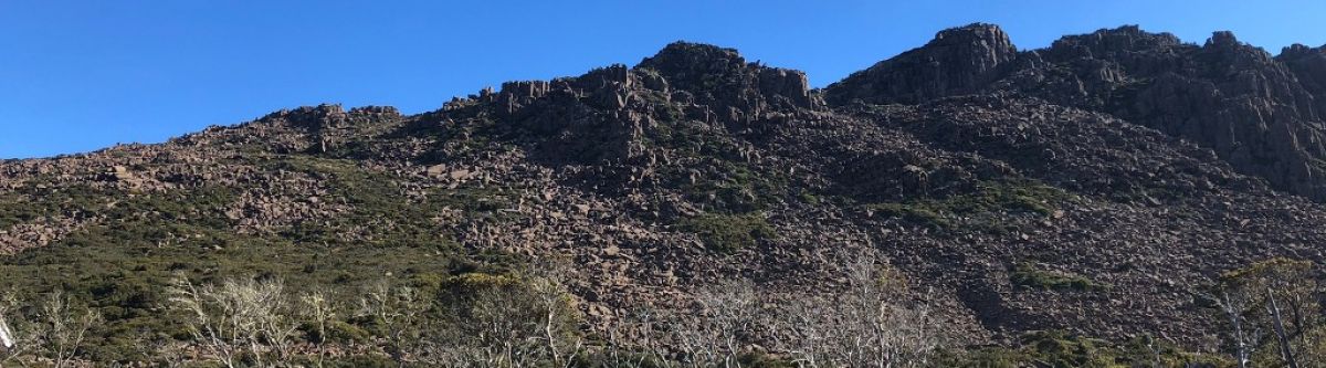 TASSHI - CARS AND COFFEE Cover Image