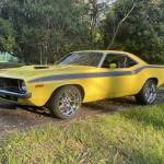 CUDA1972 Profile Picture