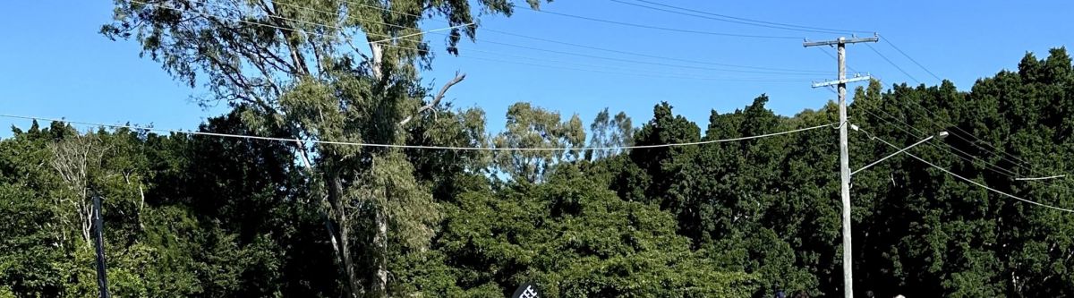 Soarer Cruise to Toowoomba Cover Image