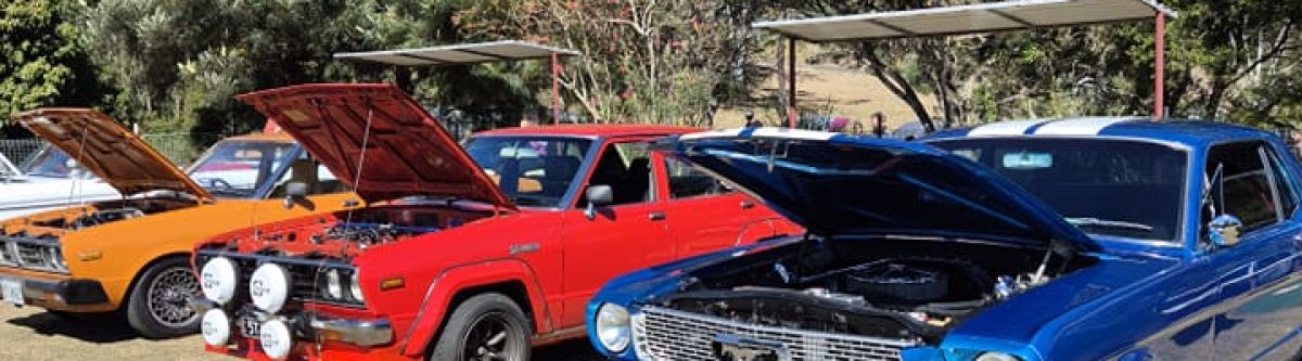 Sunday Session - Classic Cars on the Green Cover Image