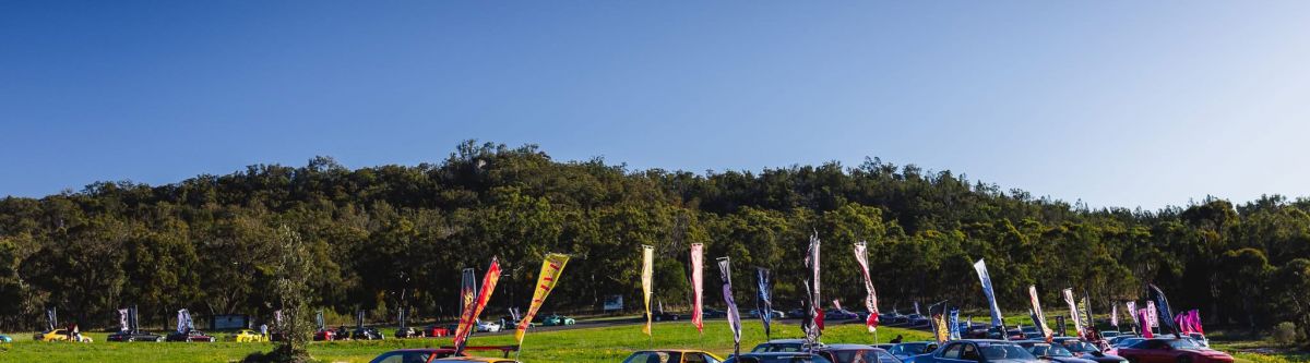 STEEZE IN THE TREES 2.0 Cover Image